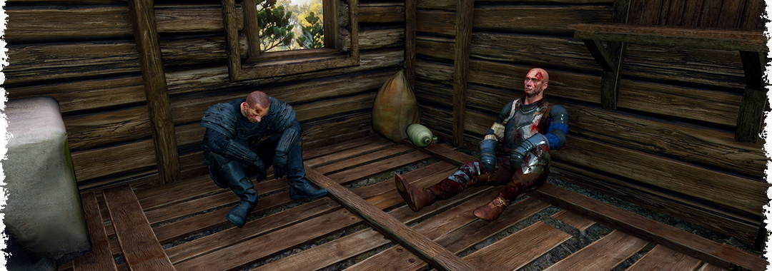 Пропавший без вести в The Witcher 3: Wild Hunt — прохождение задания