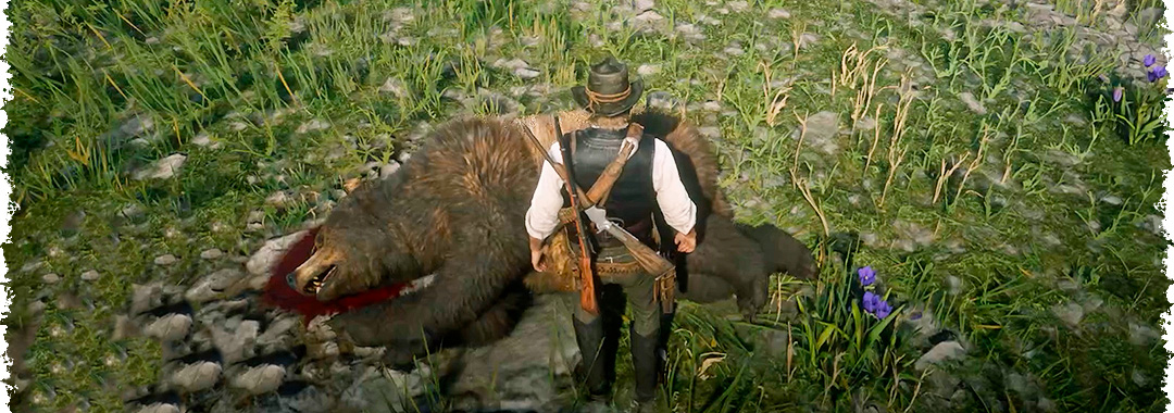 Все случайные события в Red Dead Redemption 2