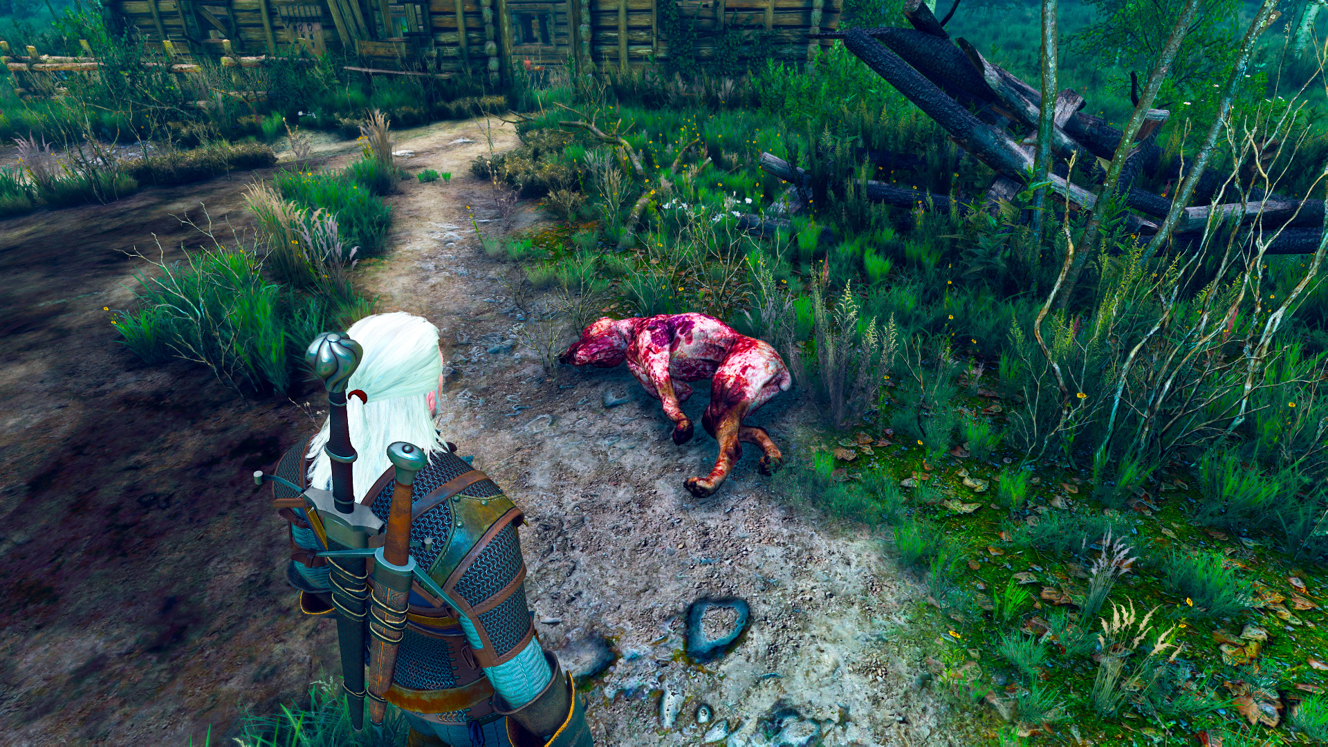 Лихо у колодца в The Witcher 3: Wild Hunt — Животное