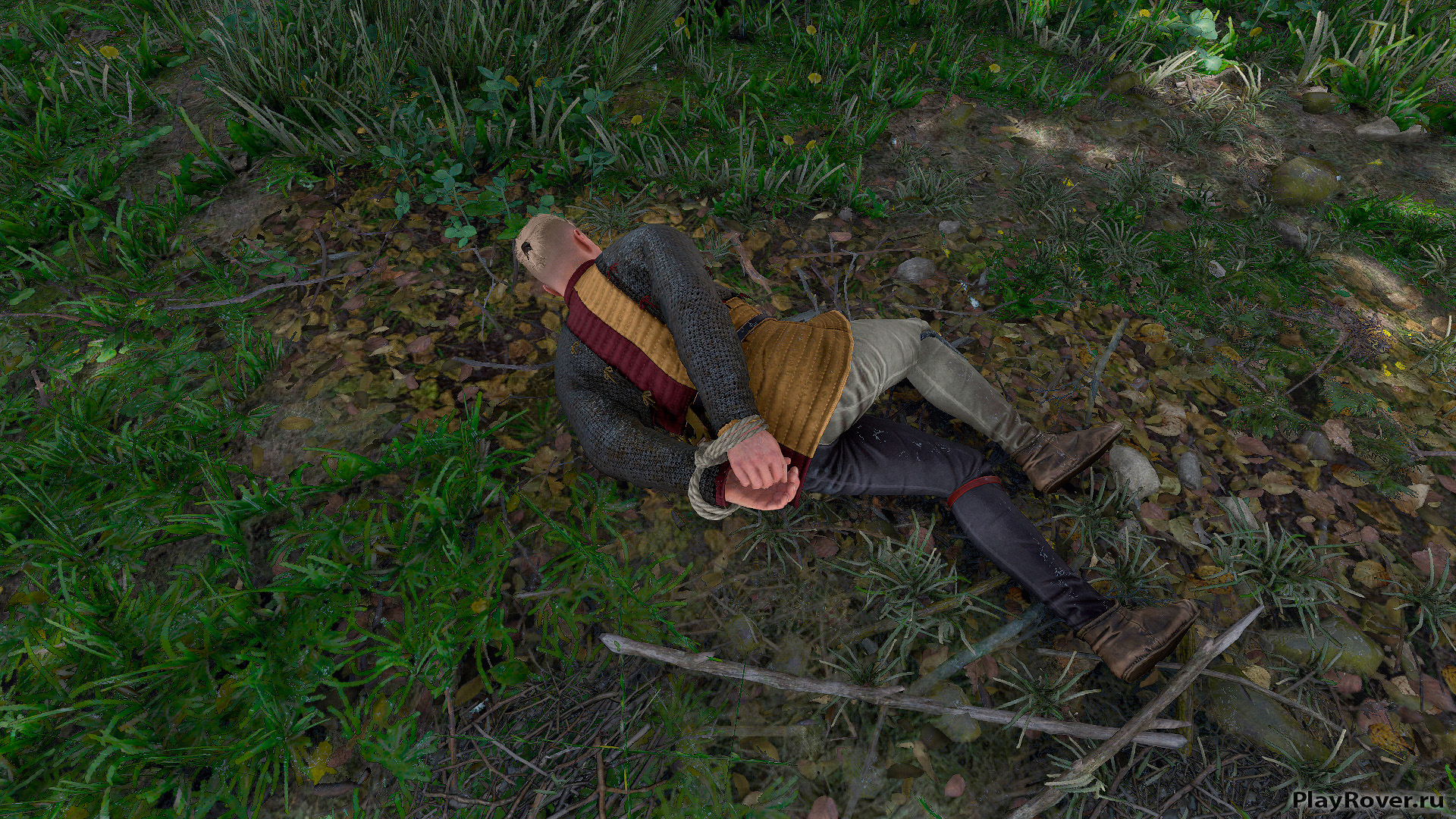 Задание «Чертова стая» в Kingdom Come: Deliverance 2 - Комар