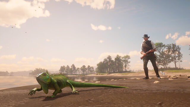 Где найти игуану в Red Dead Redemption 2