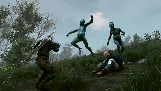На милость проходящих мимо в The Witcher 3: Wild Hunt — прохождение задания