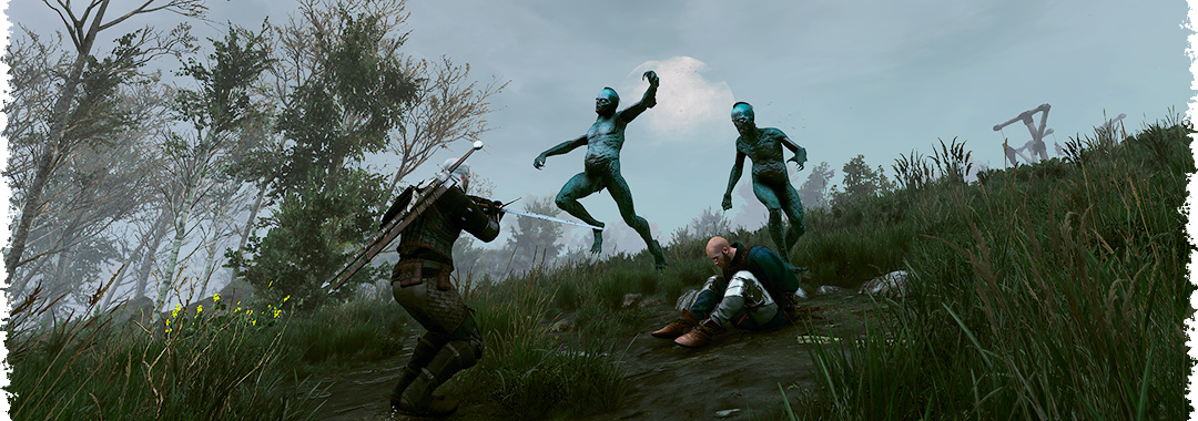 На милость проходящих мимо в The Witcher 3: Wild Hunt — прохождение задания